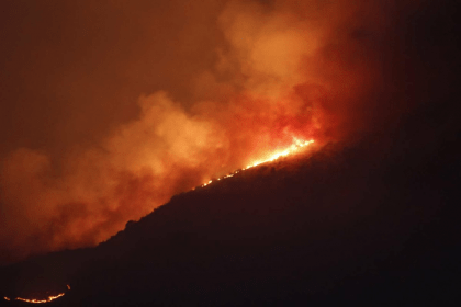Chile: un incendio forestal afectó un santuario de la naturaleza