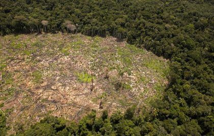Perú recurre al monitoreo satelital contra la deforestación
