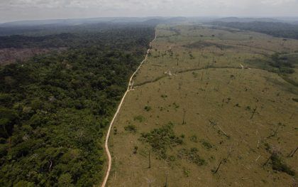 Sequías y deforestación podrían convertir en sabana la selva amazónica