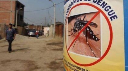 Científicos de Perú innovan en la lucha contra el dengue
