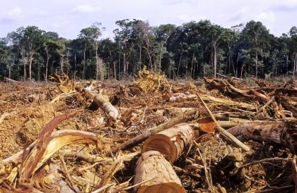 El Congreso de Brasil permite una mayor deforestación de la Amazonia