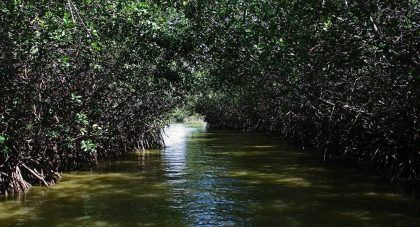 Perú y Ecuador oficializan una Reserva de Biosfera binacional