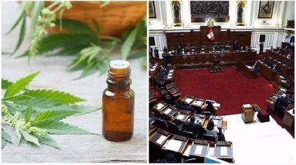 Perú legaliza el uso medicinal del cannabis