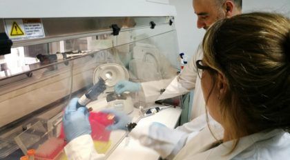 Consorcio argentino desarrolló una técnica para detección temprana del Chagas