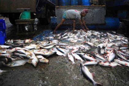 Establecen prioridades para una pesca sostenible