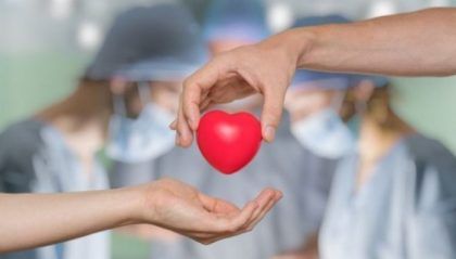 Día Nacional de la Donación de Órganos