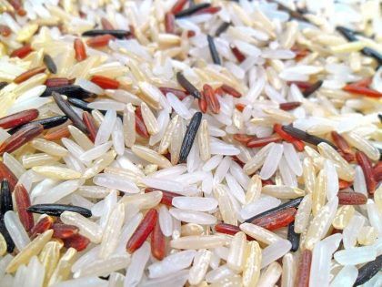 Proteínas del arroz transgénico podrían inmunizar del SIDA