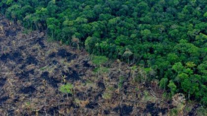 Antes de 2022 Colombia quiere plantar 180 millones de árboles