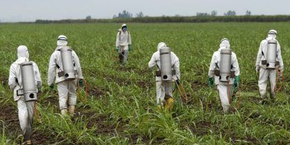 Monsanto deberá lidiar con miles de demandas