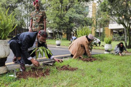 Etiopía da un ejemplo al mundo plantando más de 350 millones de árboles en un día