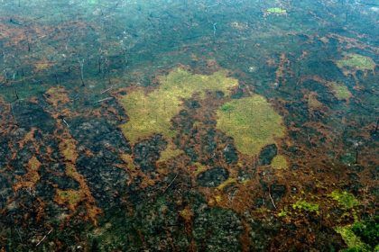 Incendios en la Amazonia: el clima no conoce fronteras ni sabe de soberanía