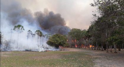 El Pantanal paraguayo afectado por un gran incendio