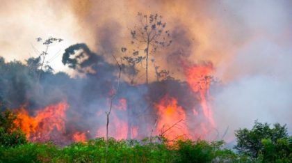 Los incendios forestales en Bolivia estarían fuera de control