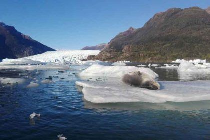 En Chile se han perdido unos 2 mil km2 de glaciares en cinco años