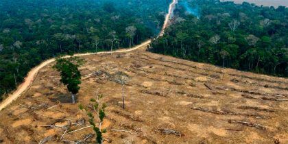 Se acelera nuevamente la deforestación de la Amazonia en Brasil