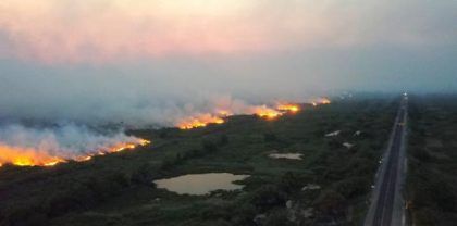 En Brasil los humedales son amenazados por incendios forestales