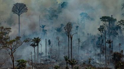 Científicos a salvaguarda de la Amazonía