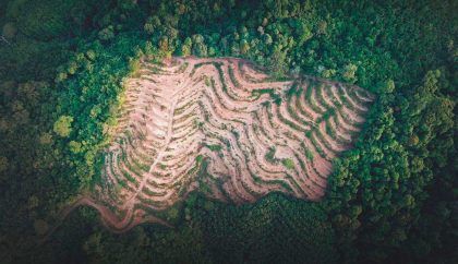 El vínculo entre pandemias, cambio climático y biodiversidad